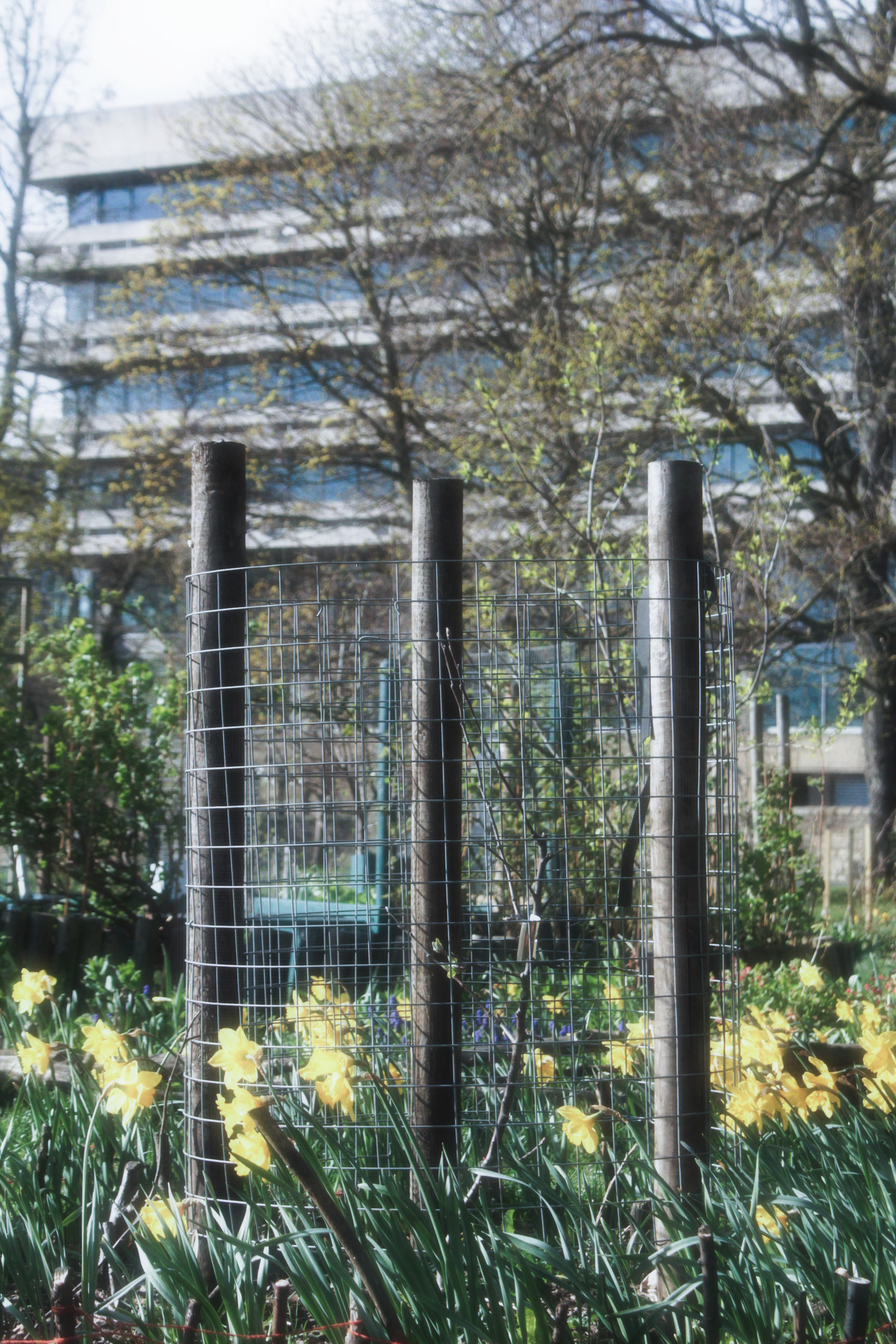 05/04/2025 - Memories of you photograph 4 — 英国爱丁堡 · 2025年