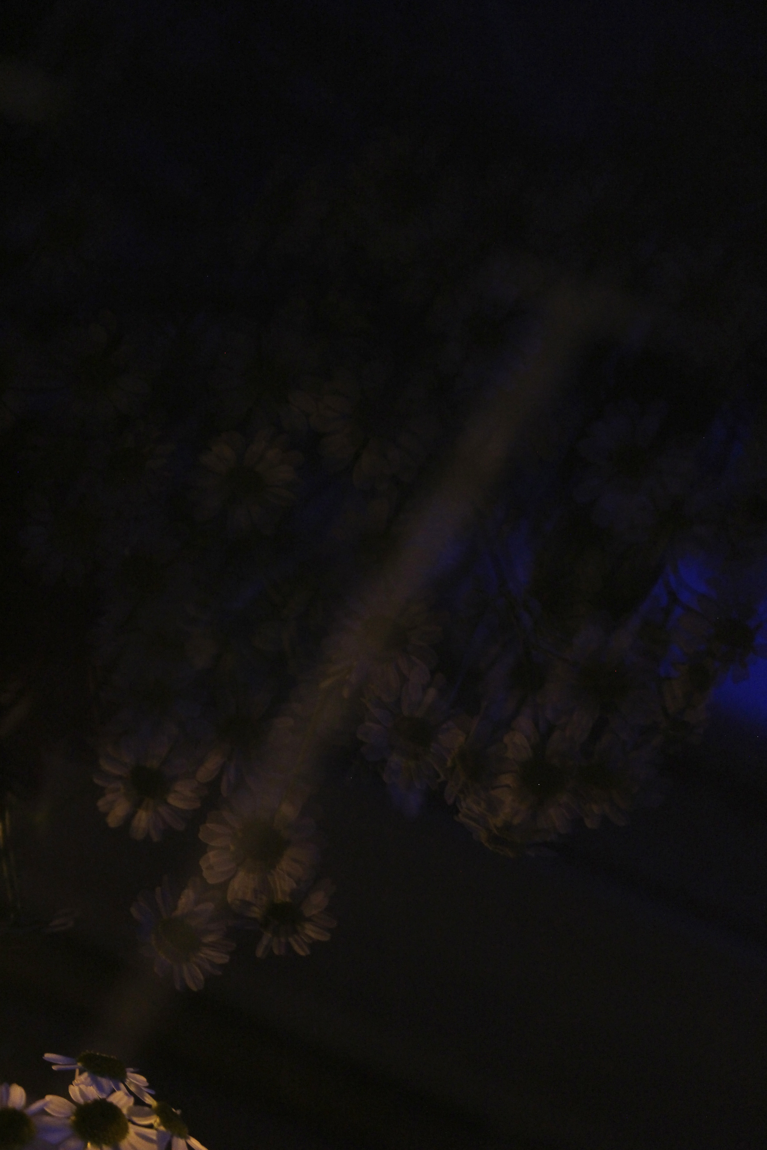 01/06/2022 photograph 6 — 英国奥斯沃斯特里 · 2022年