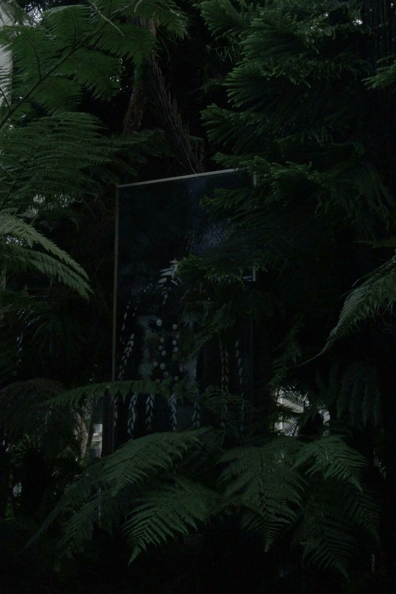 21/10/2023 photograph 3 — 英国格拉斯哥 · 2023年