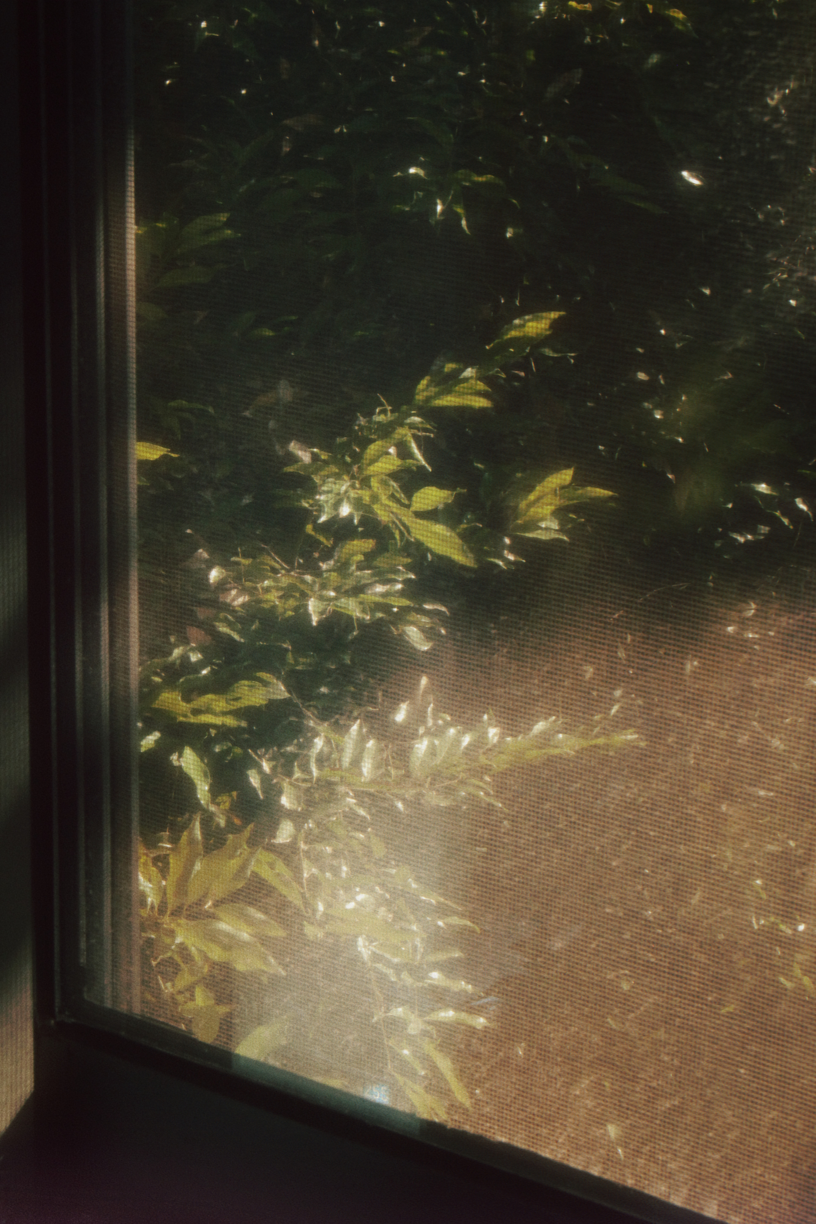 09/08/2023 photograph 3 — 中国重庆市 · 2023年