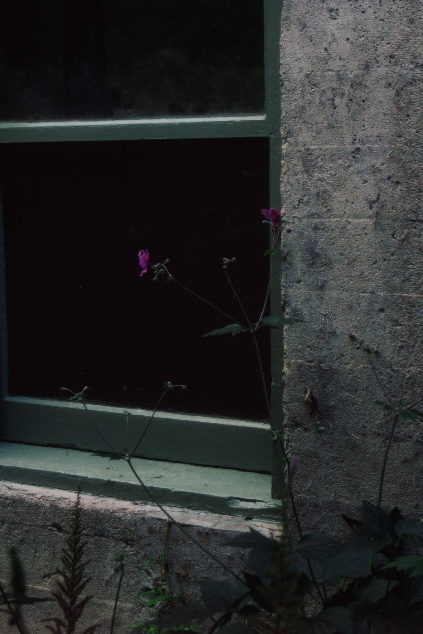 30/08/2025 photograph 13 — 美国纽约伊萨卡 · 2025年