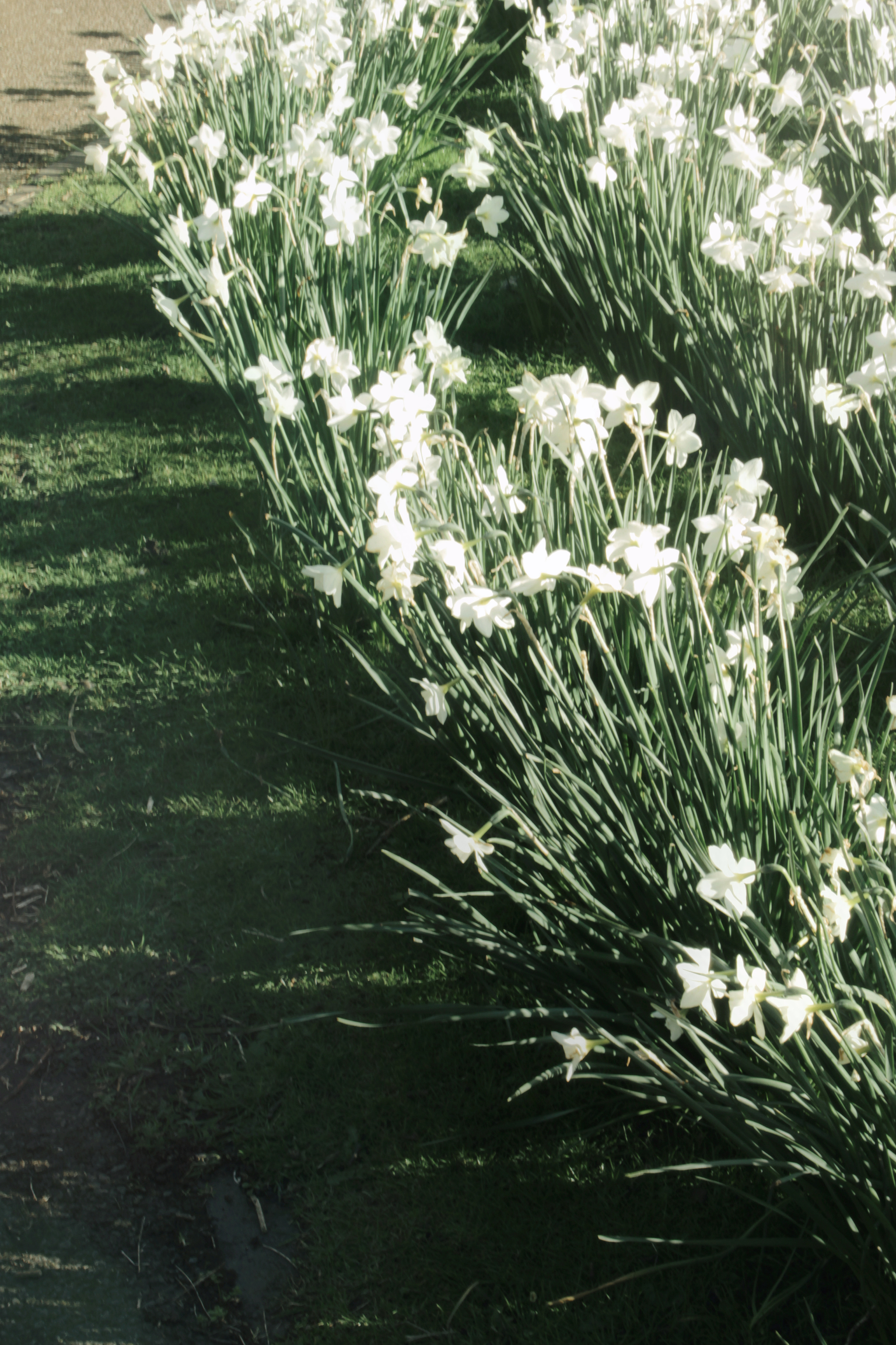 20/04/2024 photograph 1 — 英国爱丁堡 · 2024年