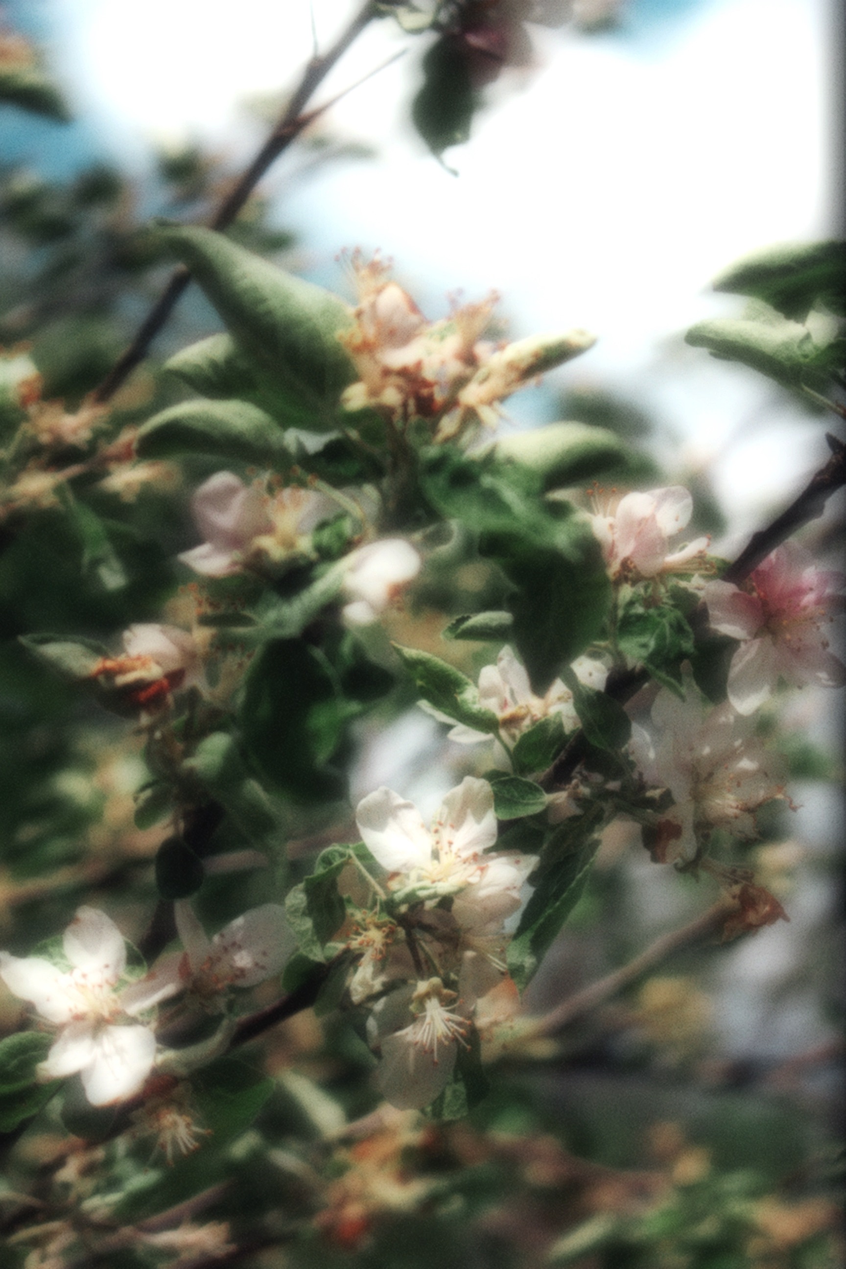 16/05/2026 photograph 2 — 美国伊萨卡 · 2026年