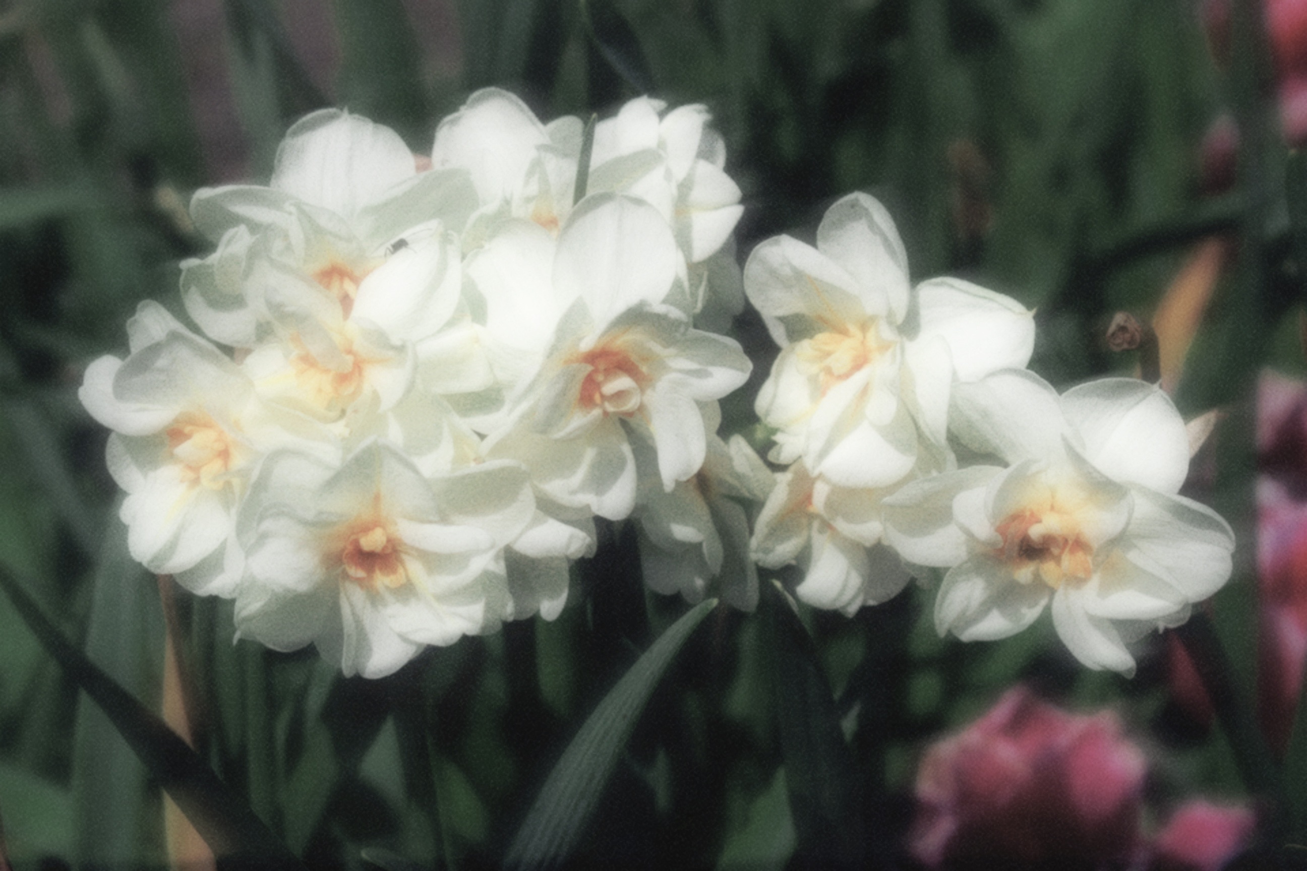 16/05/2026 photograph 3 — 美国伊萨卡 · 2026年