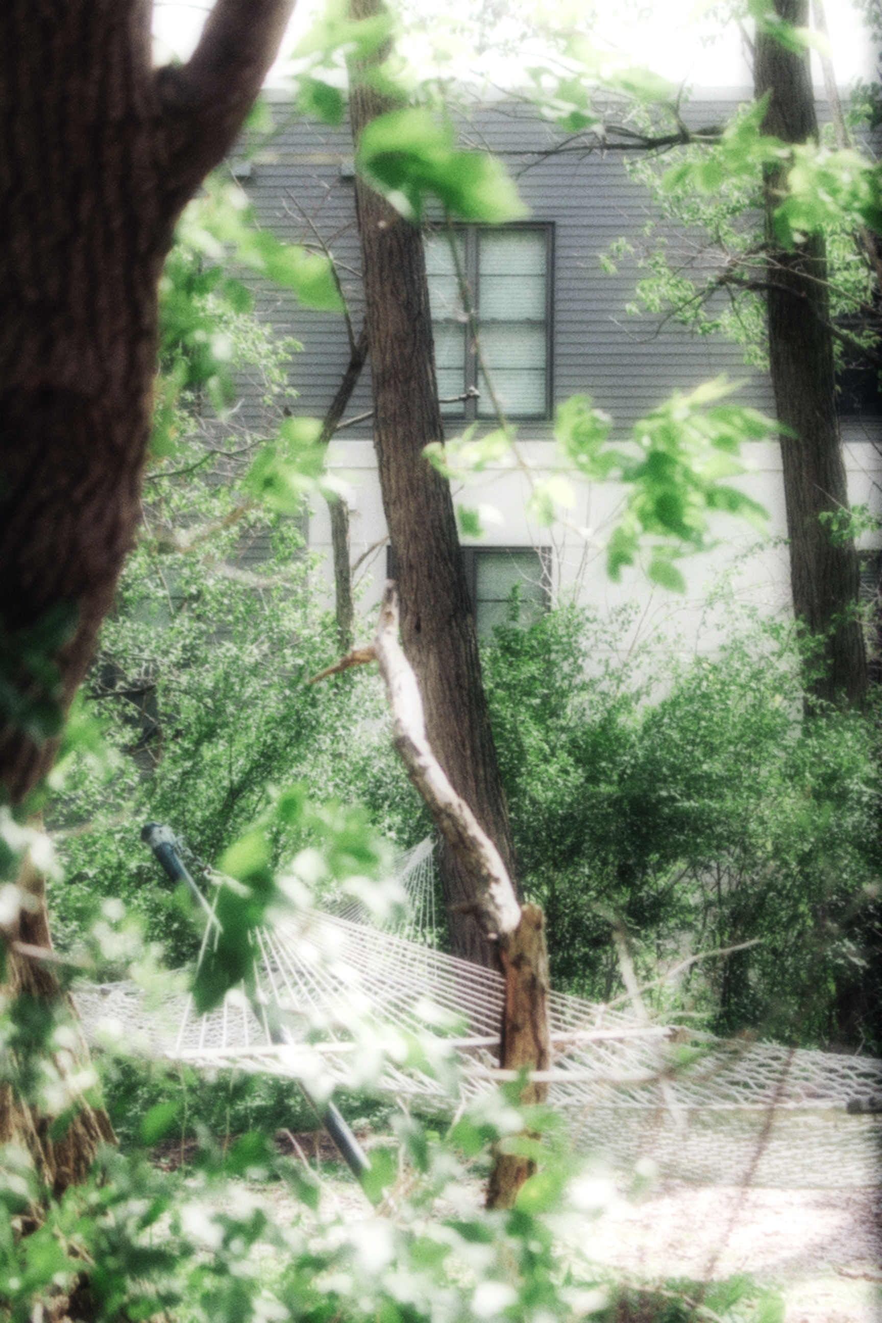 16/05/2026 photograph 5 — 美国伊萨卡 · 2026年