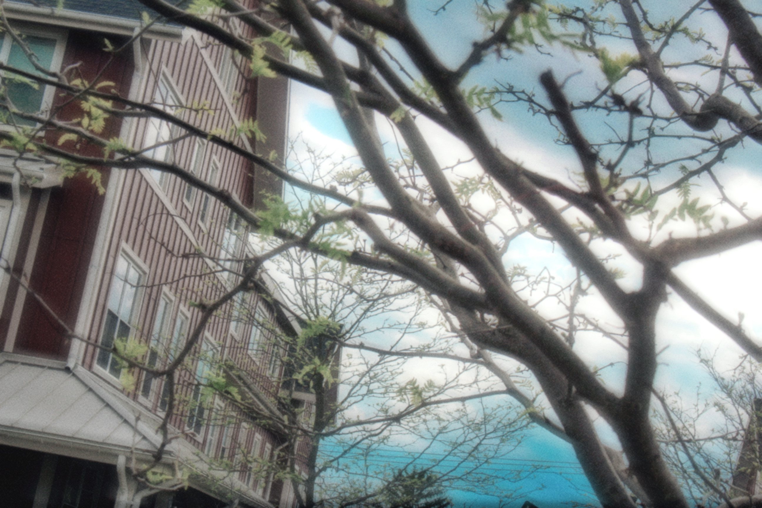 16/05/2026 photograph 1 — 美国伊萨卡 · 2026年