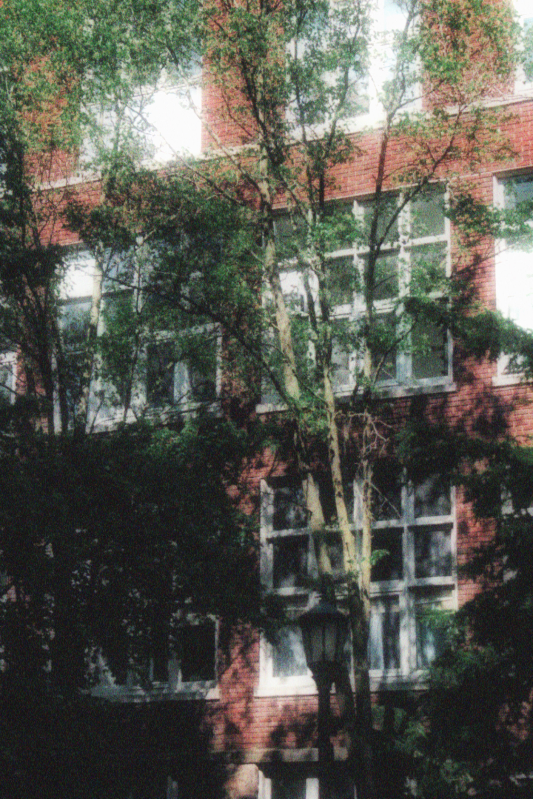 17/05/2026 photograph 3 — 美国伊萨卡 · 2026年