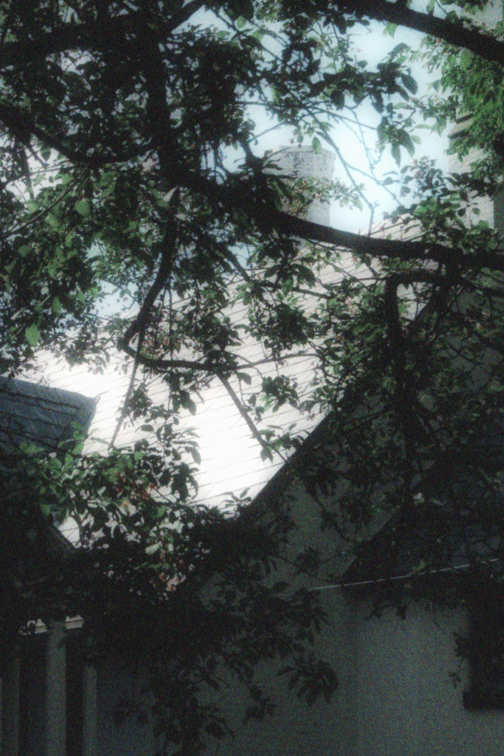 17/05/2026 photograph 5 — 美国伊萨卡 · 2026年