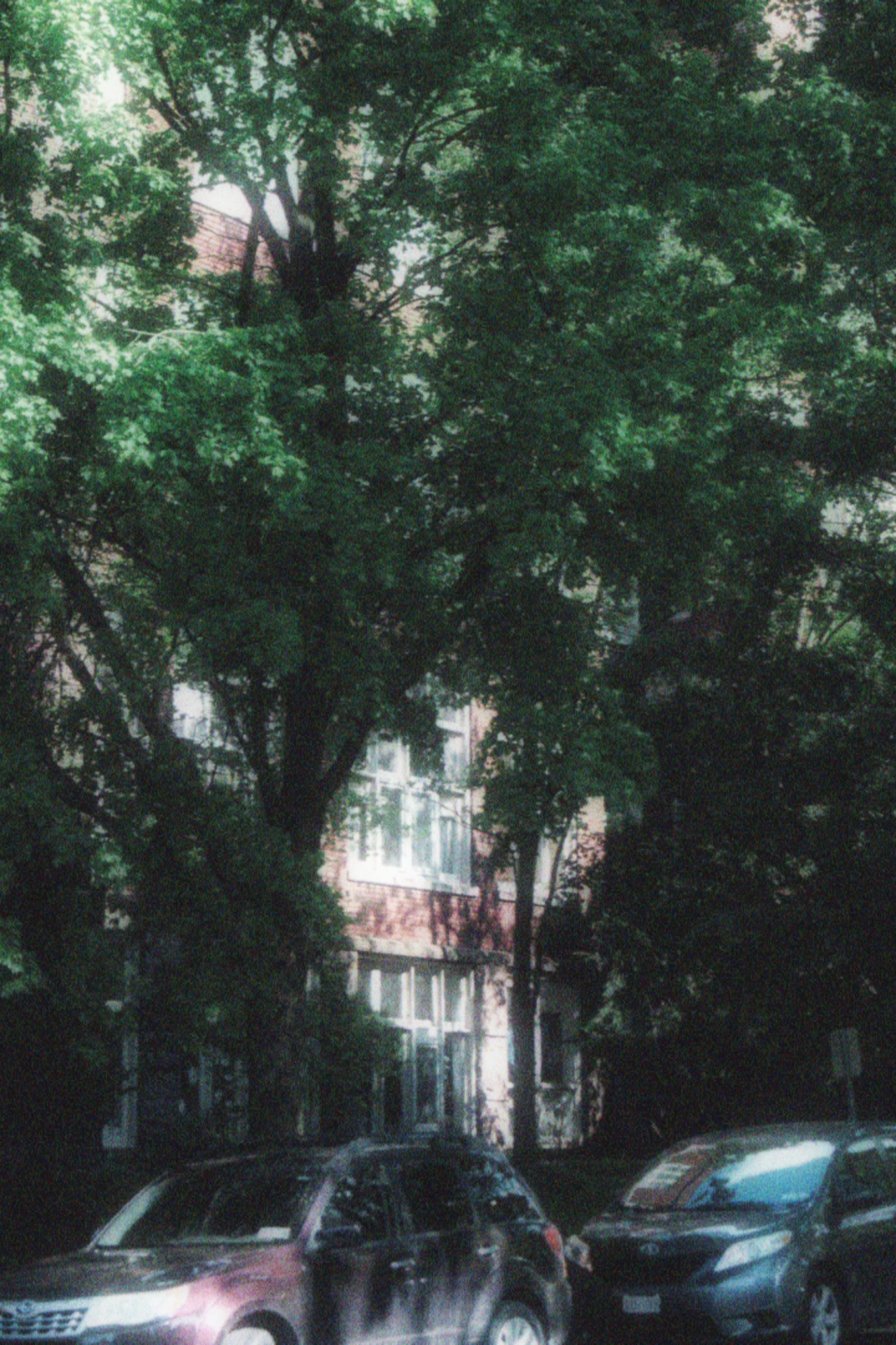 17/05/2026 photograph 6 — 美国伊萨卡 · 2026年