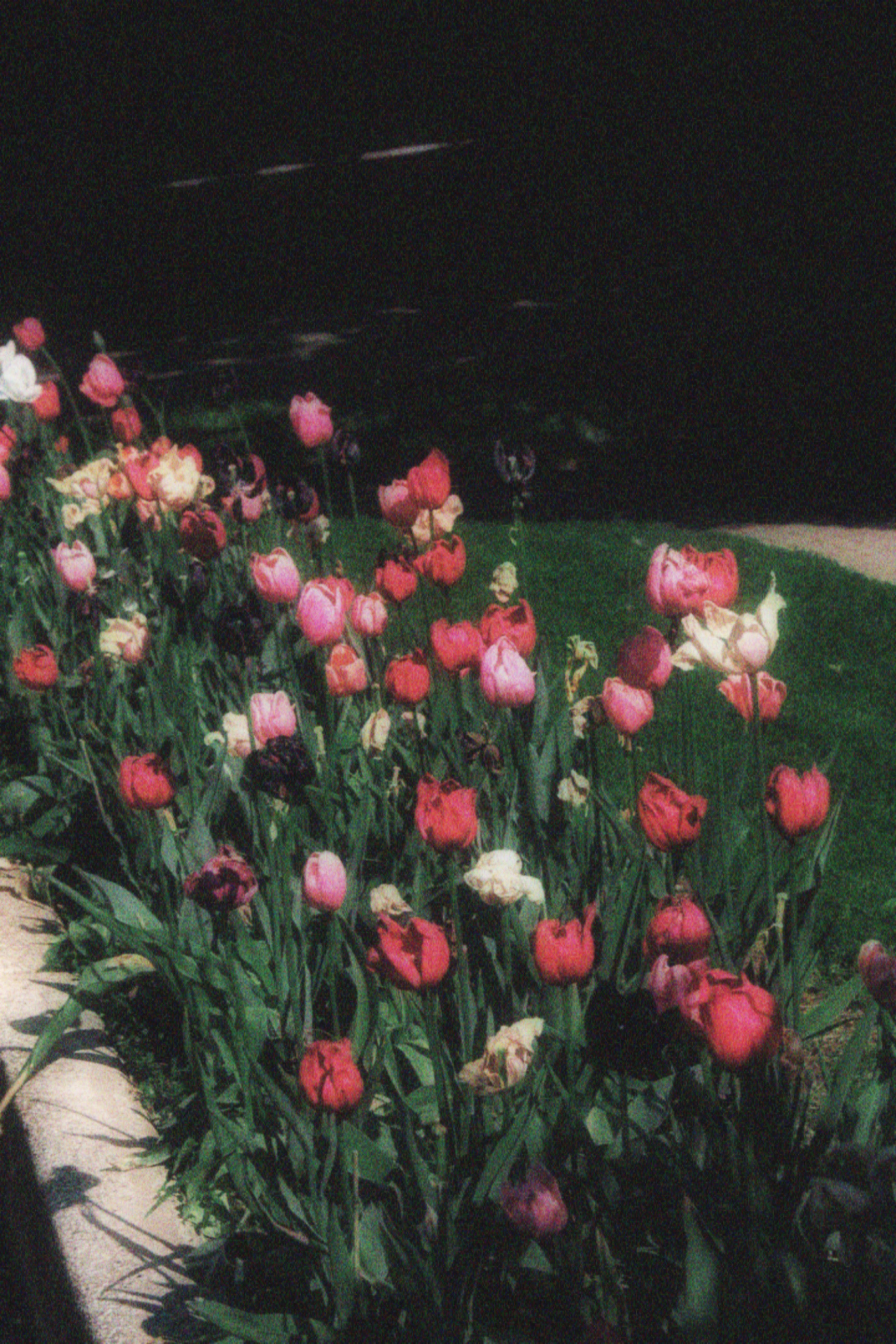 17/05/2026 photograph 7 — 美国伊萨卡 · 2026年