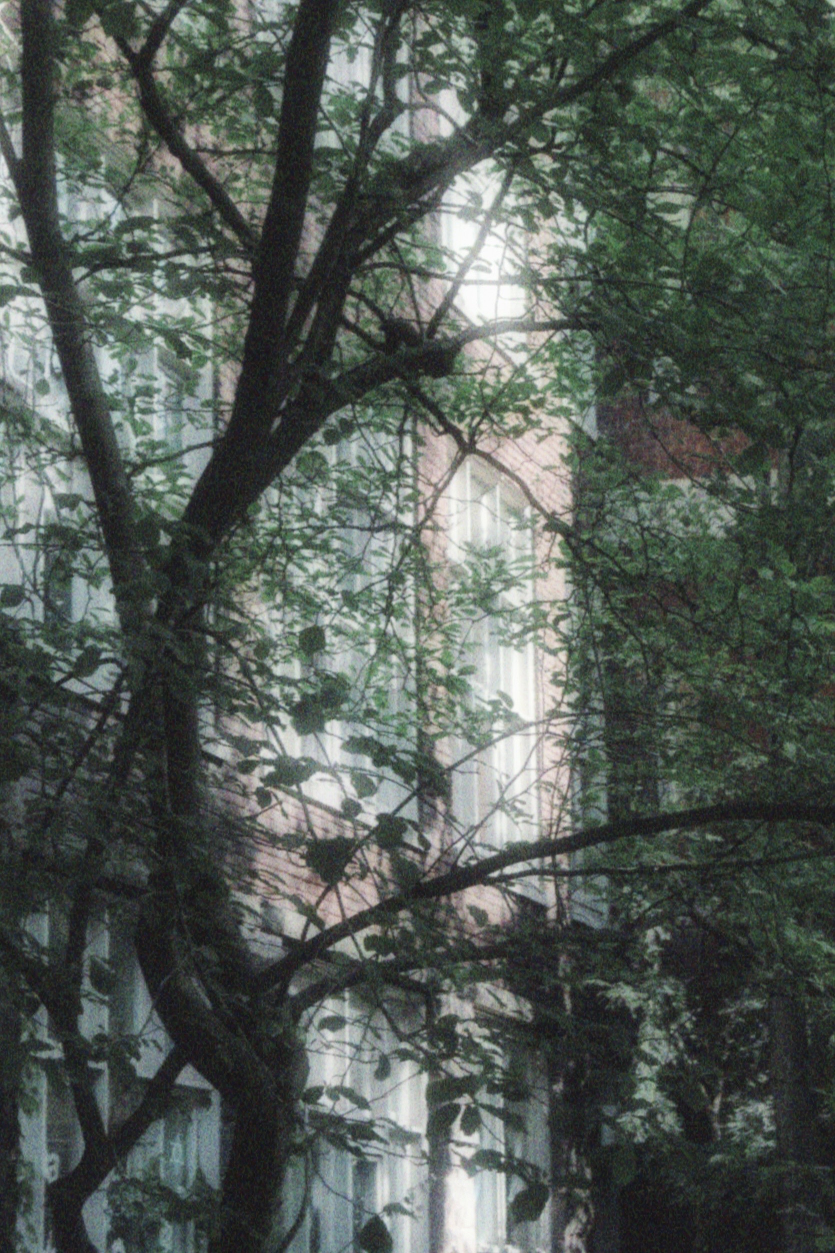 17/05/2026 photograph 8 — 美国伊萨卡 · 2026年