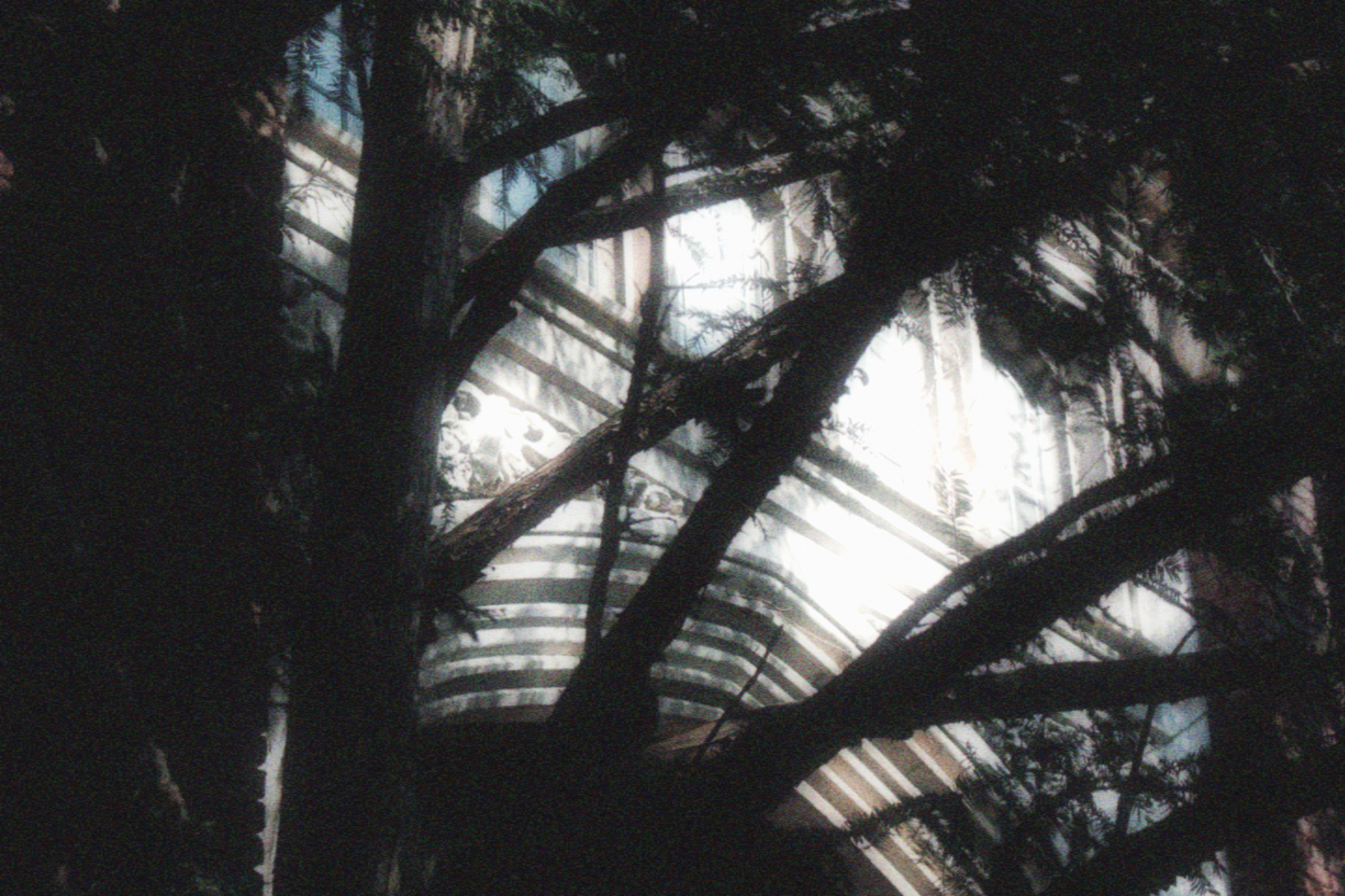 17/05/2026 photograph 9 — 美国伊萨卡 · 2026年
