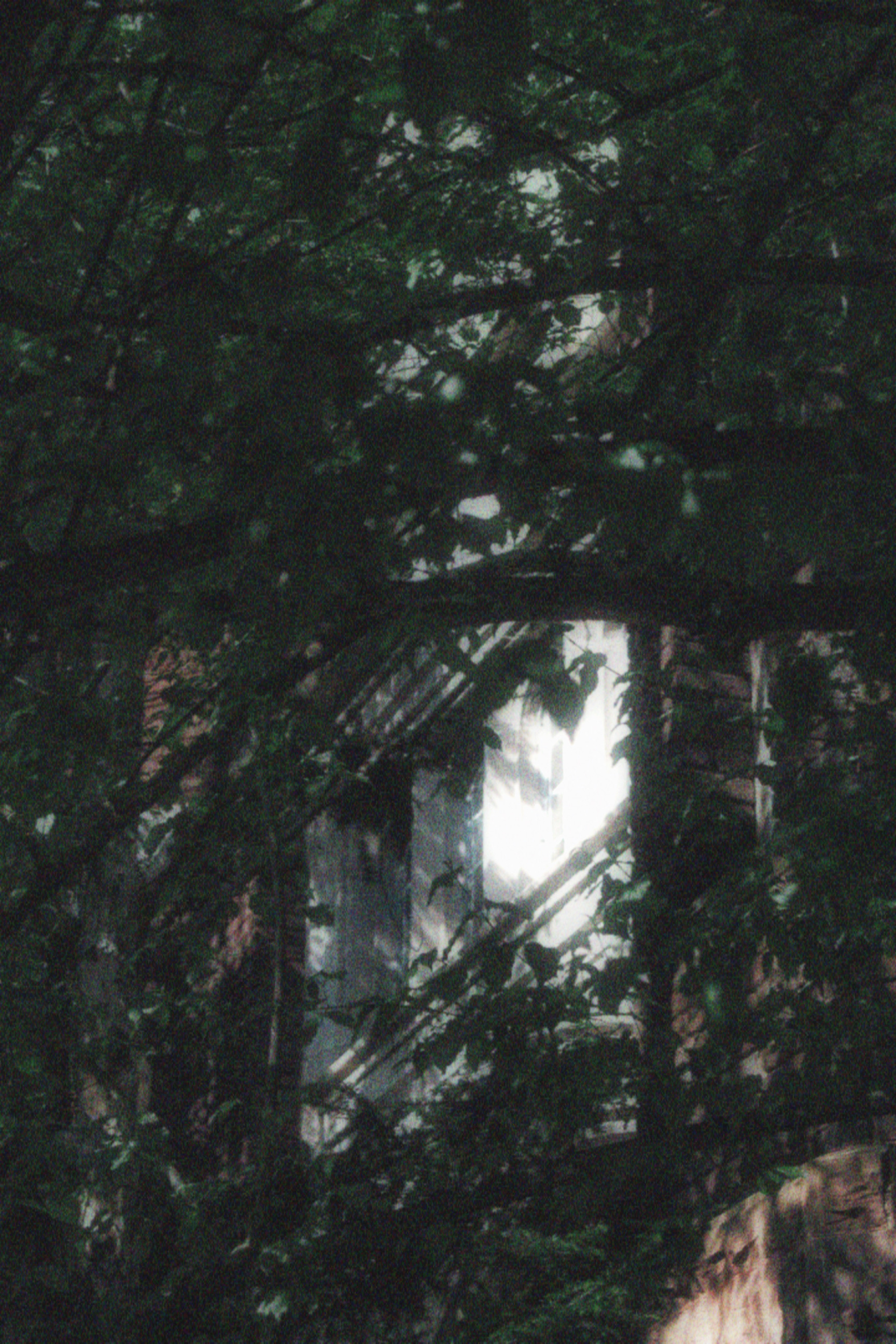 17/05/2026 photograph 10 — 美国伊萨卡 · 2026年
