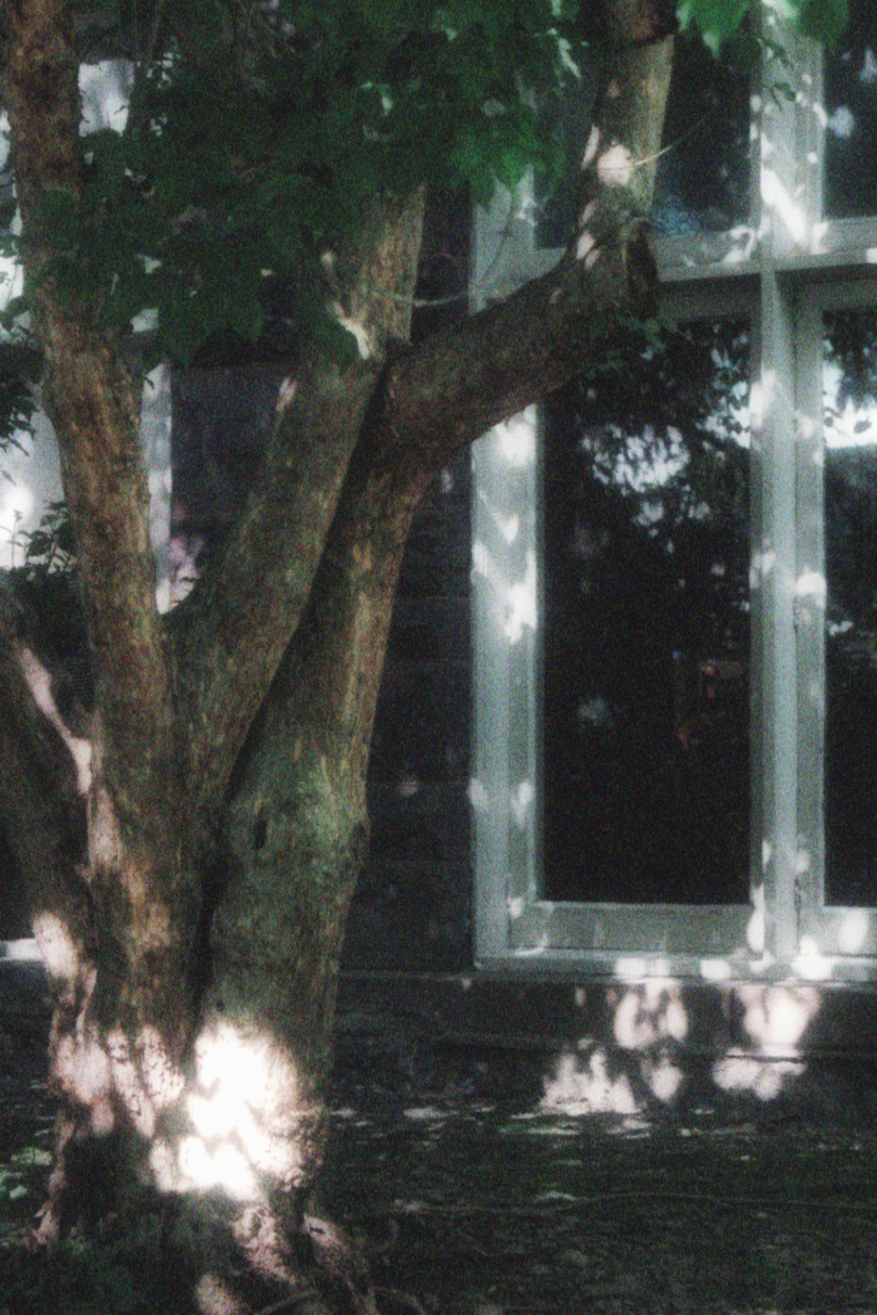 17/05/2026 photograph 11 — 美国伊萨卡 · 2026年