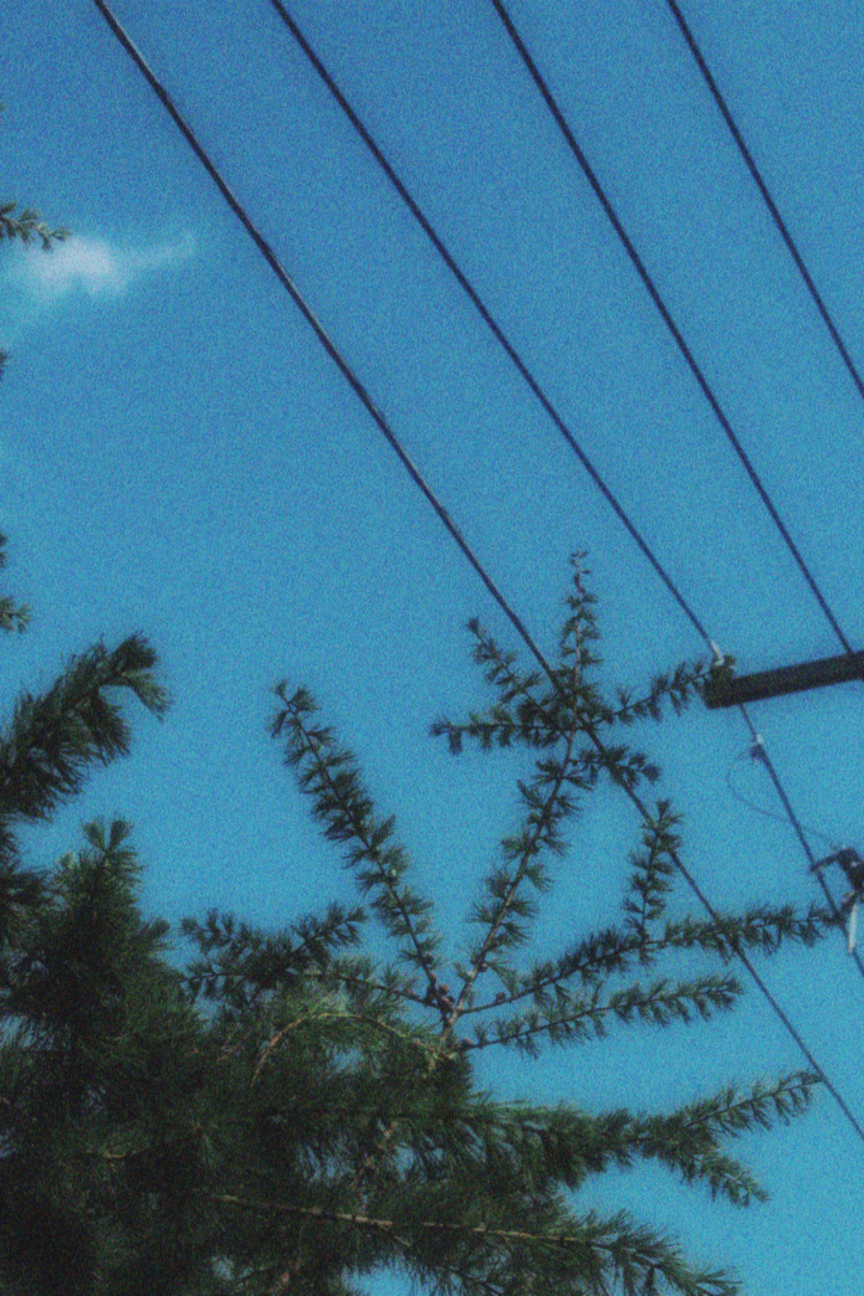 17/05/2026 photograph 16 — 美国伊萨卡 · 2026年