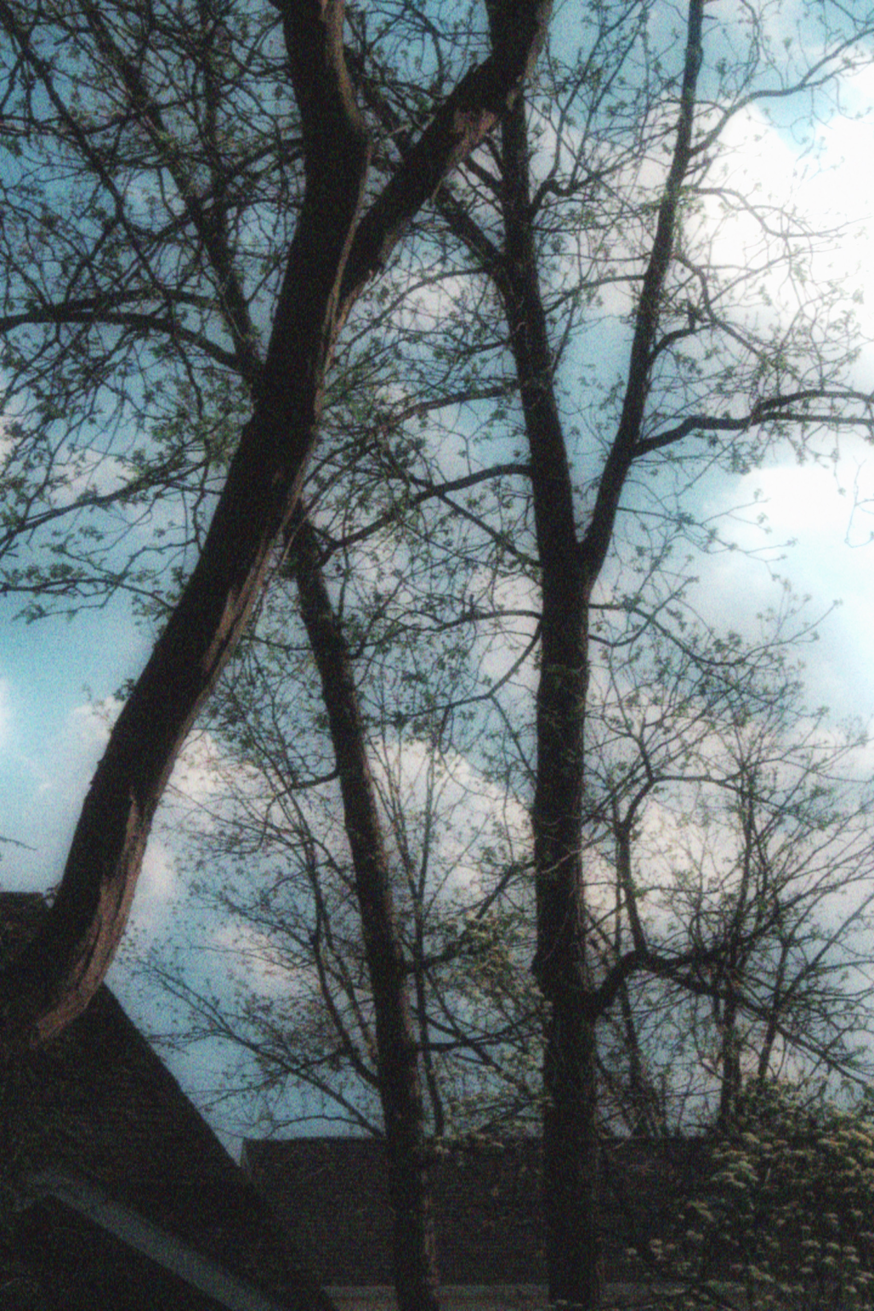 17/05/2026 photograph 17 — 美国伊萨卡 · 2026年
