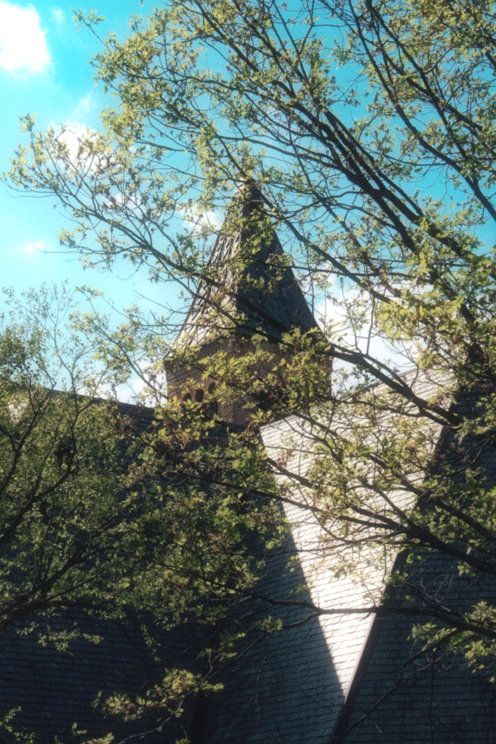 18/05/2026 photograph 4 — 美国伊萨卡 · 2026年