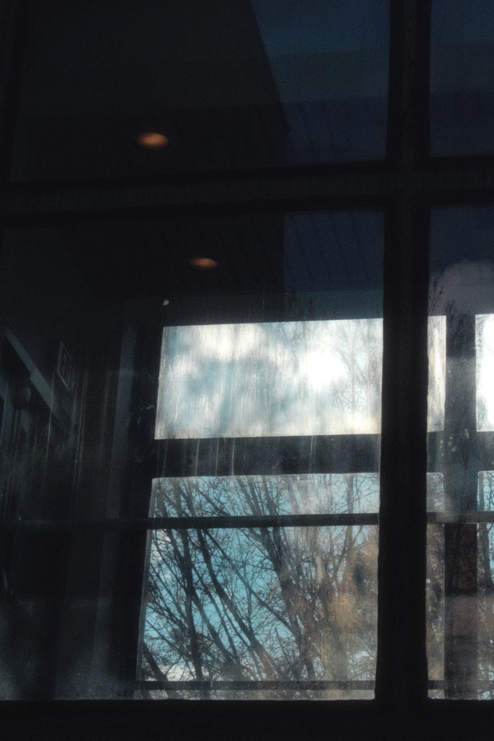 18/05/2026 photograph 10 — 美国伊萨卡 · 2026年