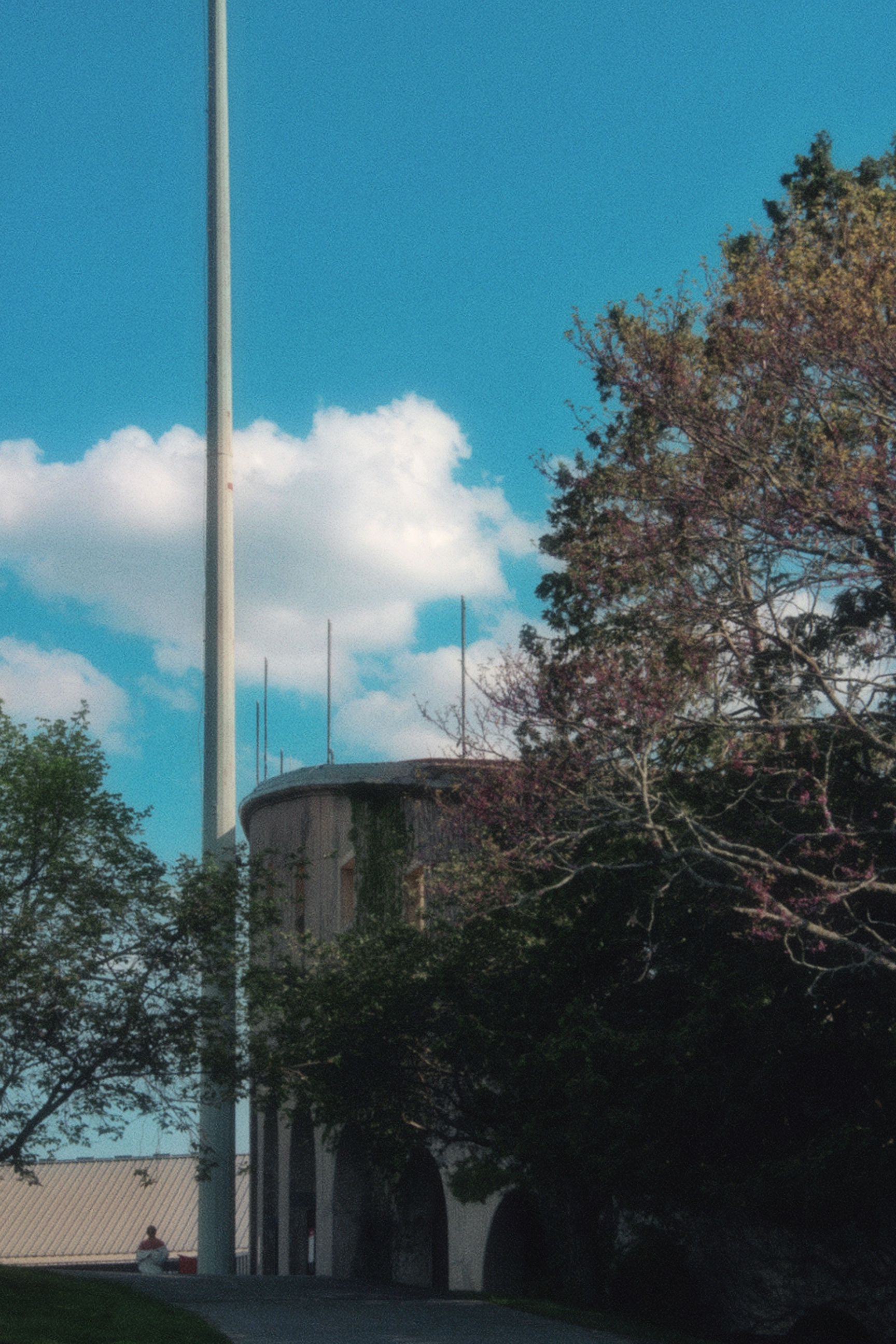 18/05/2026 photograph 12 — 美国伊萨卡 · 2026年